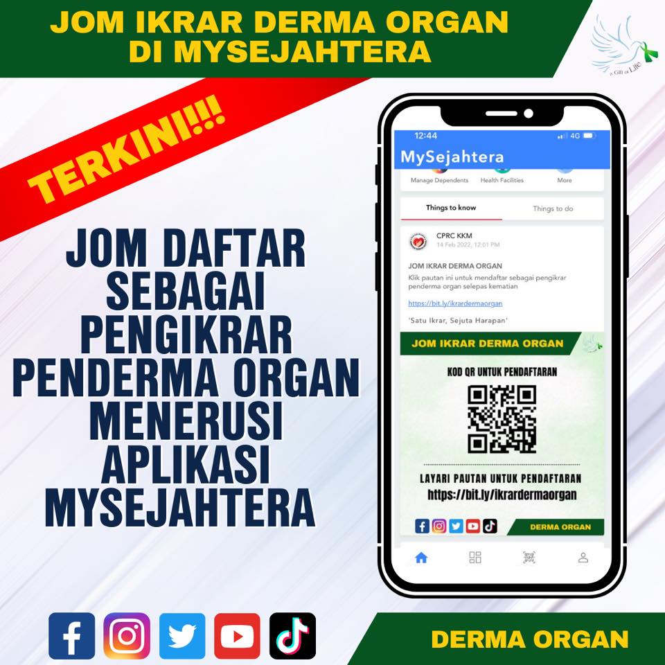 Derma organ daftar 5 Negara