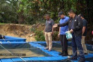 TINGKAT HASIL IKAN AIR TAWAR JOHOR